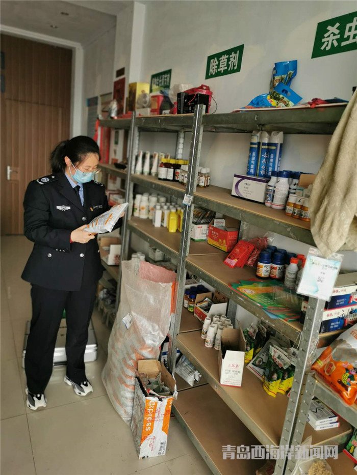 圖為西海岸新區(qū)農(nóng)業(yè)綜合行政執(zhí)法大隊(duì)執(zhí)法隊(duì)員在查看玉米種子包裝。.jpg